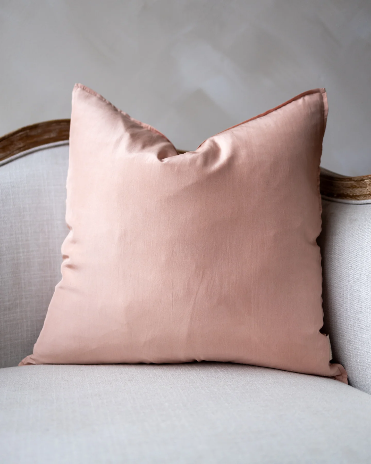 Ana Organic Silk Throw Pillow
