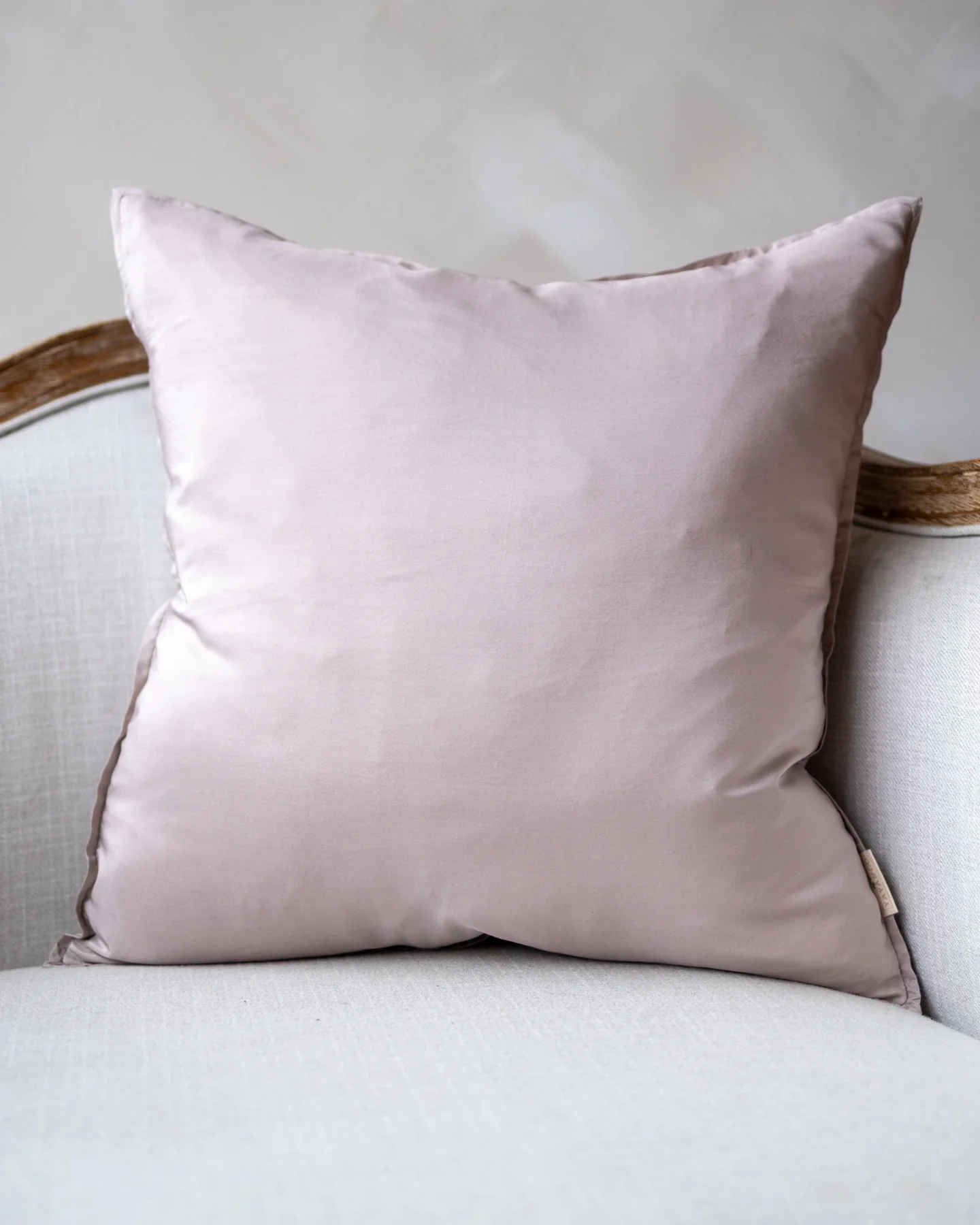 Ana Organic Silk Throw Pillow - Image 3