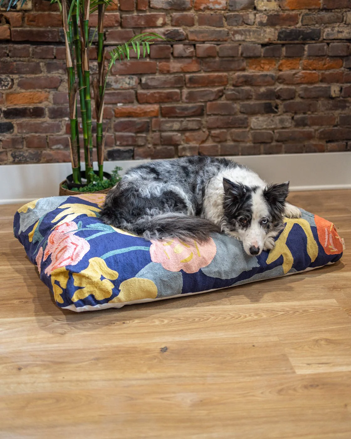 Daisy Organic Cotton Dog Bed