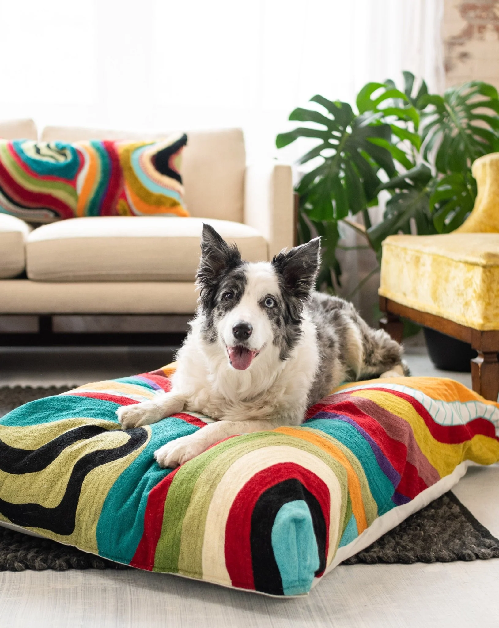 Echo Abstract Organic Cotton Dog Bed - Image 4