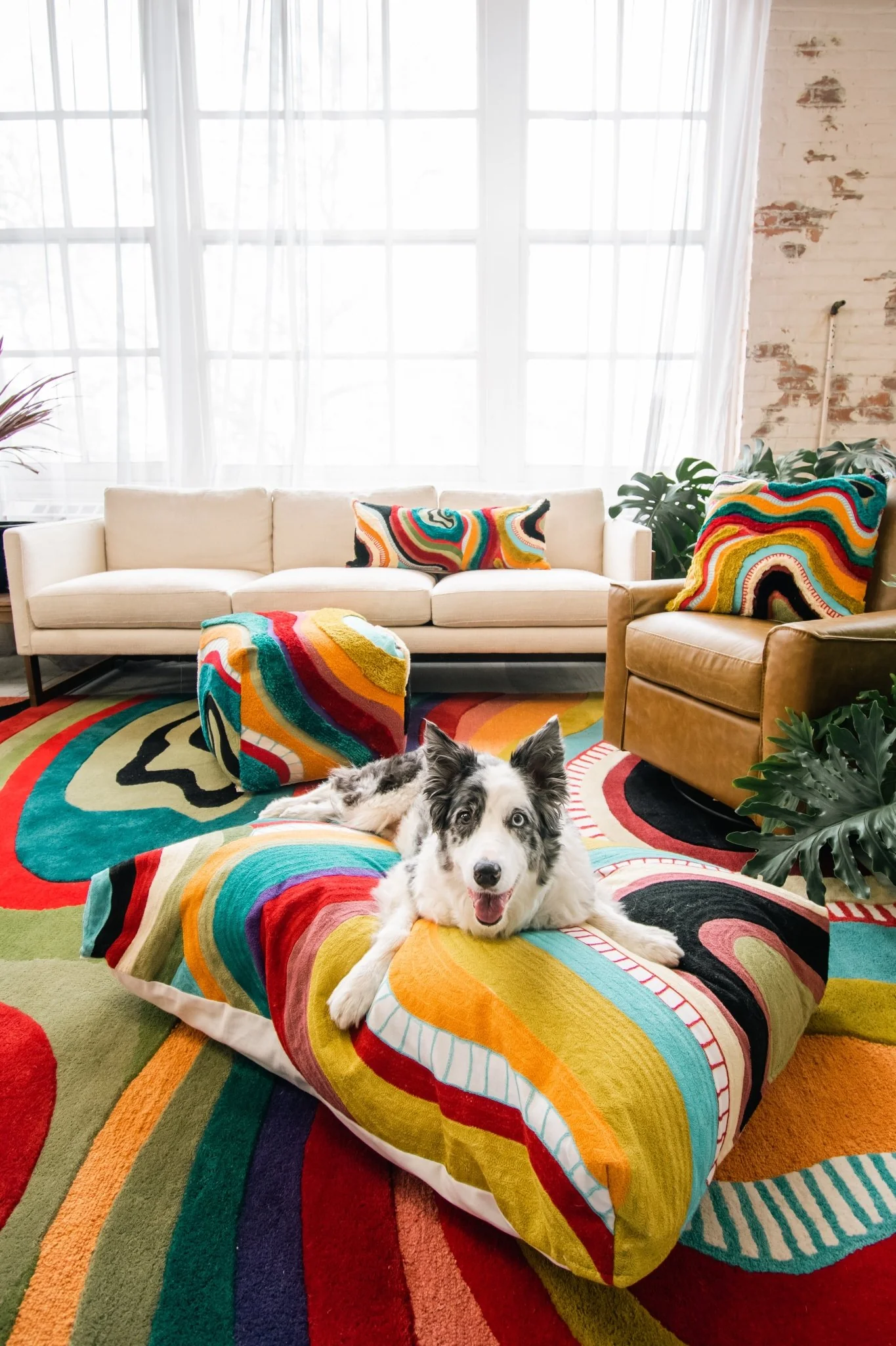 Echo Abstract Organic Cotton Dog Bed - Image 5