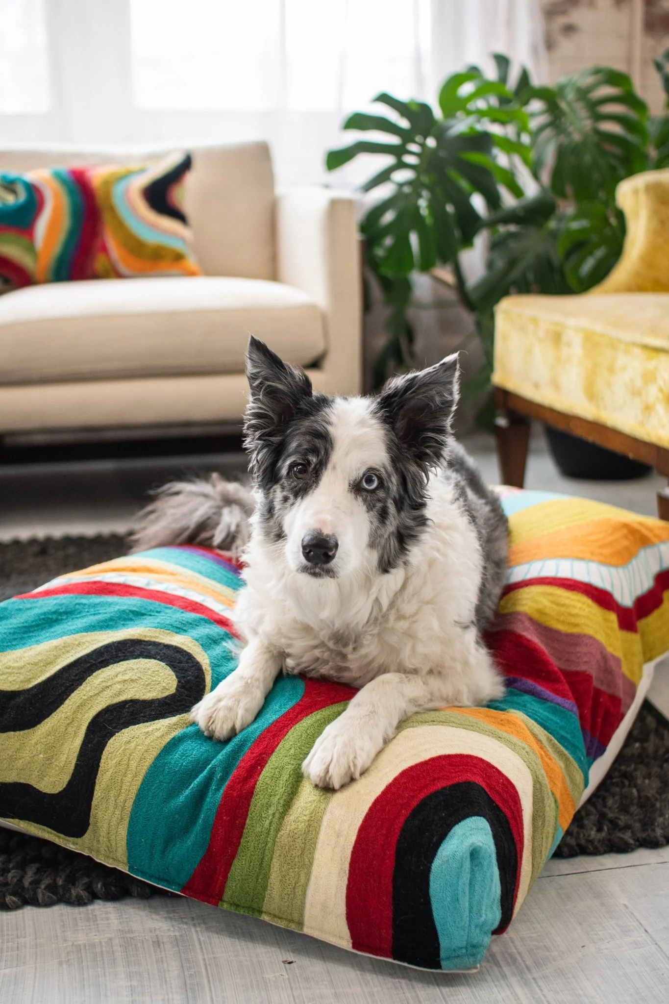 Echo Abstract Organic Cotton Dog Bed - Image 6