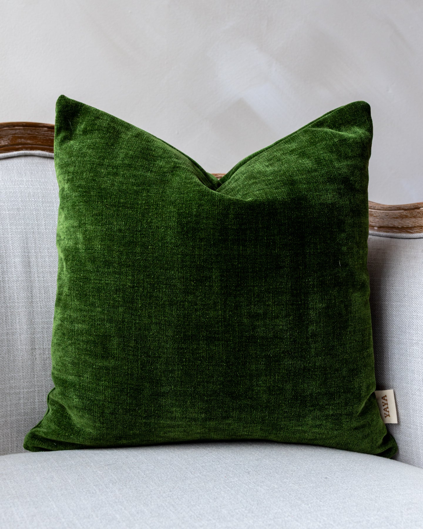 Frank Velvet Throw Pillow