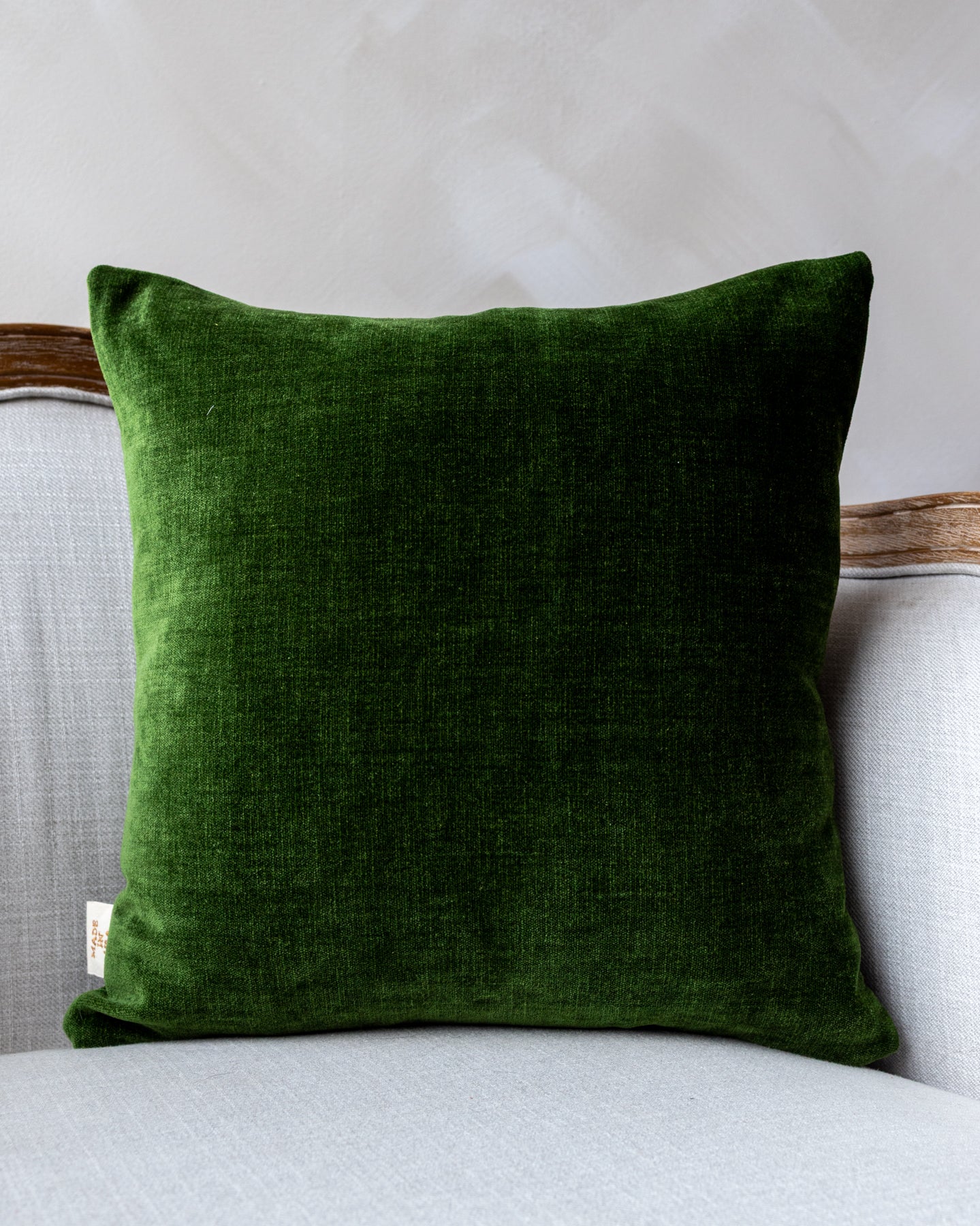 Frank Velvet Throw Pillow - Image 2